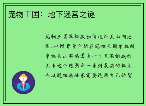 宠物王国：地下迷宫之谜